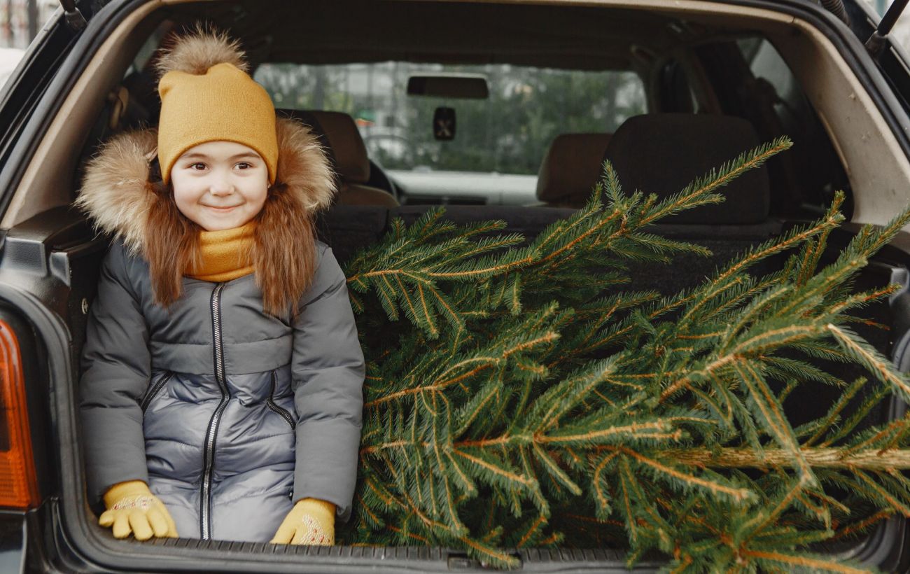 Чотири помилки під час перевезення ялинки, які псують авто