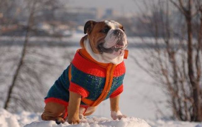 Погода на завтра: на большей части Украины без осадков, температура до +7