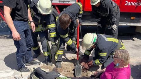 В Запорожье женщина провалилась под землю возле больницы: пришлось вызывать спасателей
