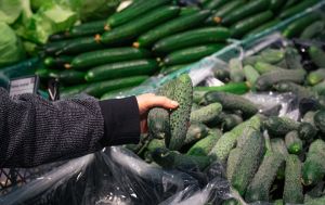 Секрет 14 днів свіжості: помилка, яку робить кожен другий при зберіганні огірків