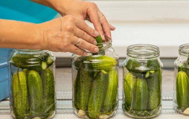 Эти ошибки при консервировании огурцов испортят всю закуску: не делайте так