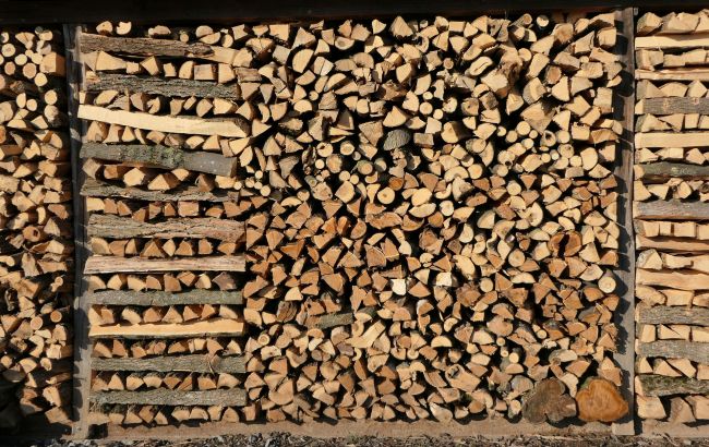 Засмічують піч і не дають тепла: якими дровами краще не опалювати дім