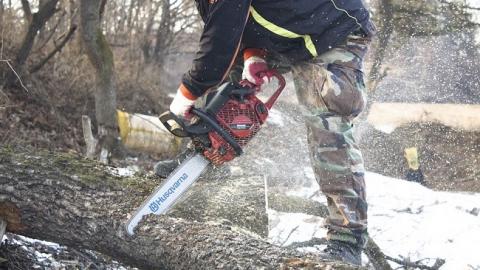 "Это бандиты, люди": под Киевом протестующие перекрыли дорогу в связи с вырубкой леса (видео)