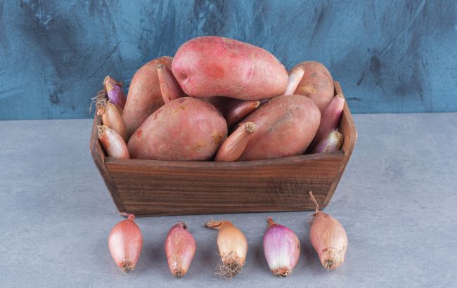 Почему картофель запрещено хранить с луком: можно потерять урожай