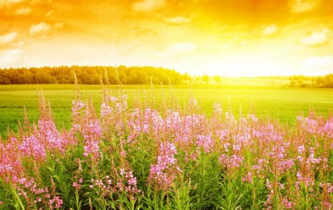 Погода на сегодня: на западе Украины дожди, температура до +37