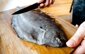 Ця маловідома риба корисніша за лосося: містить багато білка та мало калорій