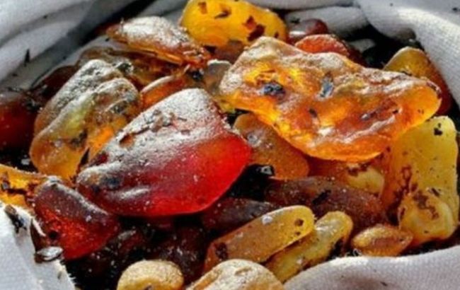 Польські прикордонники виявили рекордну партію контрабандного бурштину з України