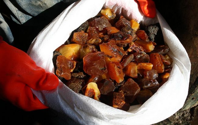 На Волыни полиция изъяла более 300 килограммов янтаря