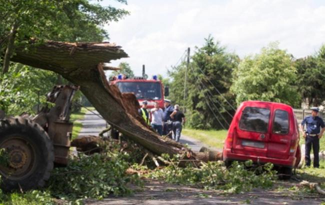 В Польше в результате ураганов погибли 5 человек