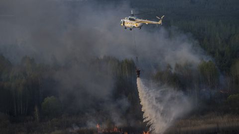 У Київській області поблизу зони відчуження горить ліс