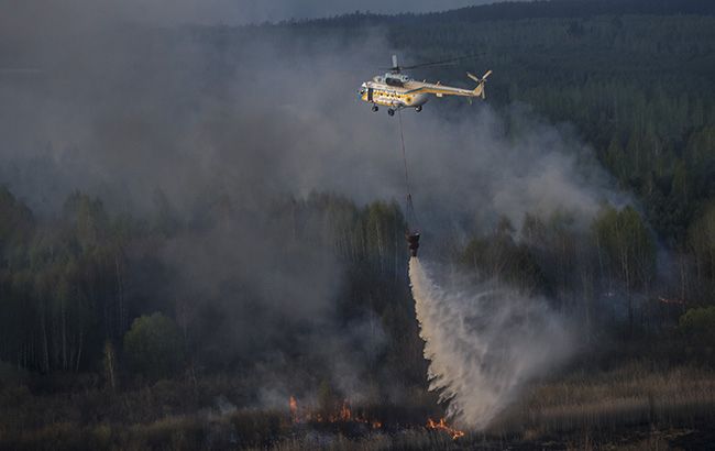 У Київській області поблизу зони відчуження горить ліс