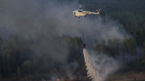 Мир красоты стал пепелищем: потрясающие фото из зоны отчуждения до пожаров