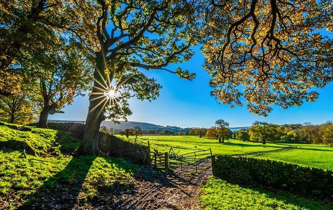 21 березня: важливі події в історії