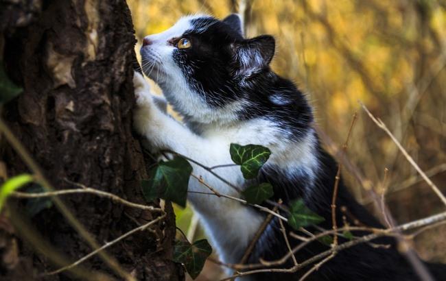 "Хвосты-фронты": синоптик дала прогноз погоды на 7 декабря