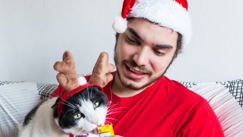 "Ночь редисок" и Йольский кот: смешные традиции на Рождество в разных странах
