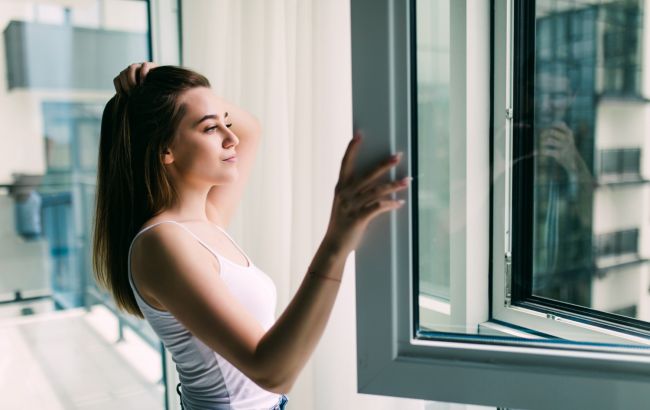 Чим можна закрити вікна в будинку від сонця: 5 дієвих методів