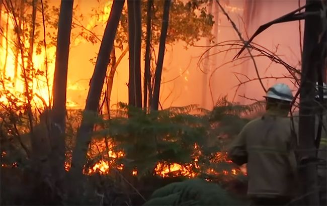 На лісових пожежах Португалії поранено 45 осіб