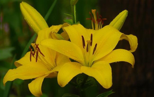 Потепління скоро: синоптики дали прогноз на тиждень