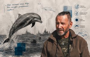 Ситуація у Чорному морі жахлива, через війну могли загинути 100 тисяч дельфінів, &ndash; біолог