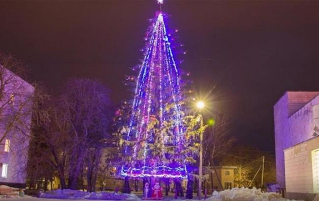 Елка в Полтавской области установила Национальный рекорд Украины