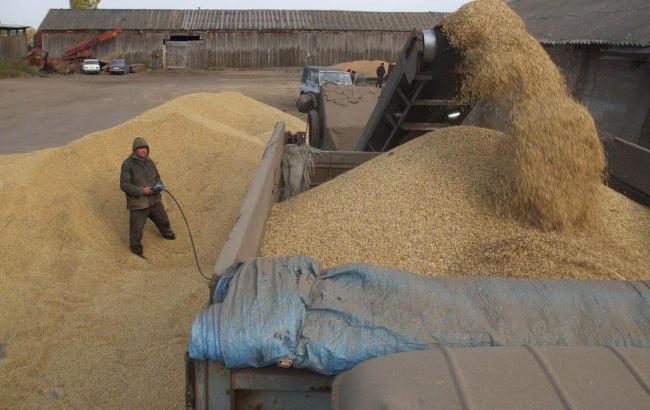 Закупівля зерна нового врожаю перебуває під загрозою зриву, - ЄБА