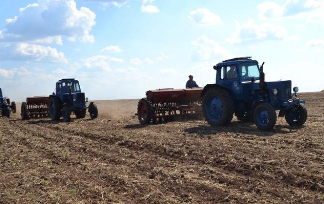 Ранні зернові посіяні майже на 70%, - МінАП