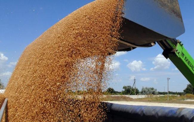 Україна експортувала майже 19 млн тонн зернових