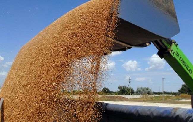 Україна встановила новий рекорд експорту зернових