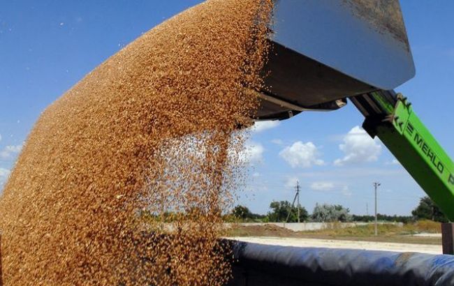 Експортні ціни на зернові за тиждень виросли на 5 дол. за тонну