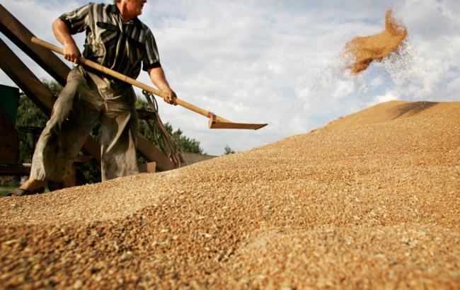 ДПЗКУ прийняла на зберігання близько 900 тис. тонн зернових