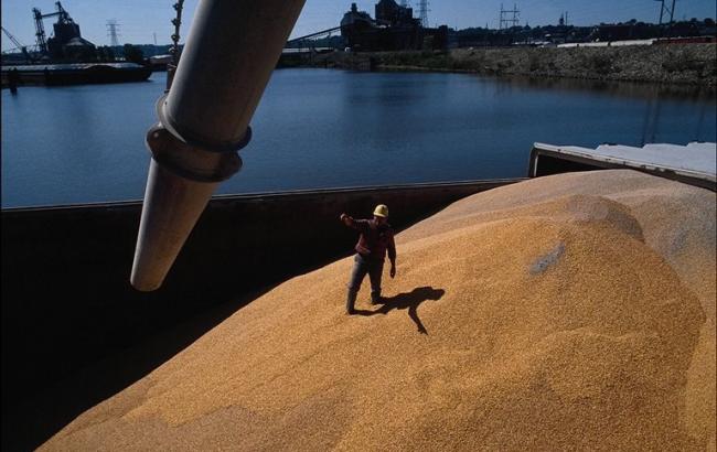 ФАО: світові поставки зерна виросли завдяки рекордному врожаю 2014 р