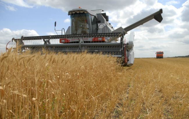 Виробництво зерна в Україні в липні зросло на 1,3%, - Держстат