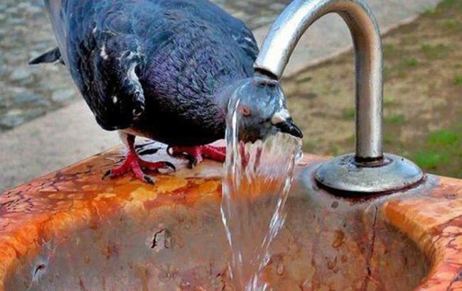 Синоптики розповіли, коли в Україні спаде спека