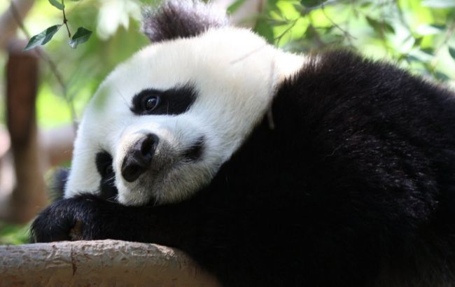 Погода на сегодня: на севере Украины дожди, температура до +34