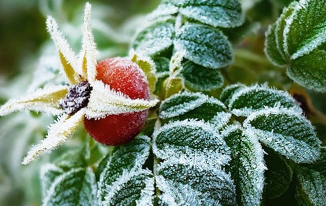 Погода на сьогодні: в Україні посиляться заморозки