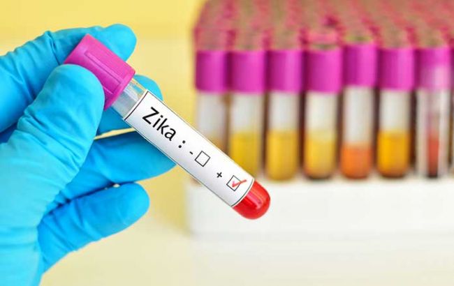 Заразиться вирусом Зика рискуют более 2 млрд человек