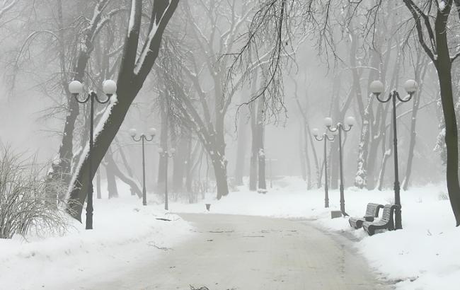 Синоптики предупреждают о гололедице и тумане в Киеве 2 февраля