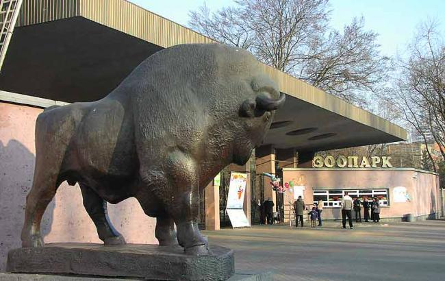 У Києві скоєно пограбування зоопарку