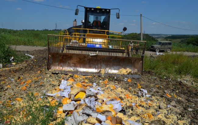 У РФ за півроку знищили 2,6 тисяч тонн заборонених до ввезення продуктів