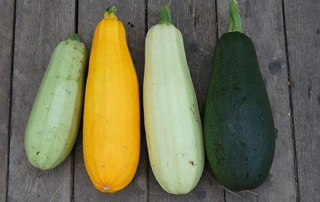 Овощная паста с кабачково-мятными шариками: рецепт от победительницы МастерШеф 6 (видео)