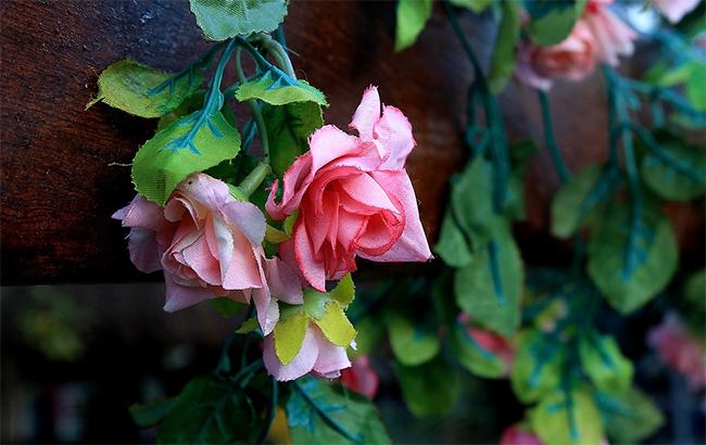 Украинцев призывают не нести на кладбища искусственные цветы