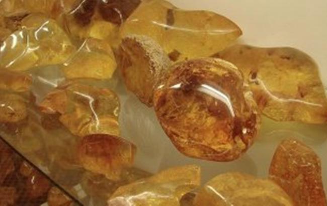В Рівненській обл. у місцевого жителя вилучили 70 кг бурштину