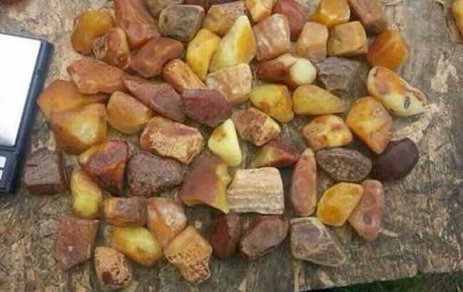 У Рівненській області вилучили партію бурштину вартістю 100 тис. грн